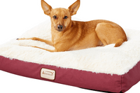 Armarkat Dog Pillow Bed with Removable Cover