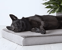 BarkBox Memory Foam Platform Dog Bed